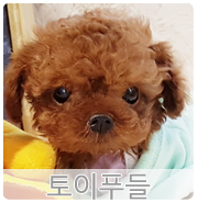 올망졸망 이미지