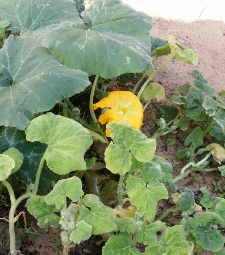 정민이네민박 이미지