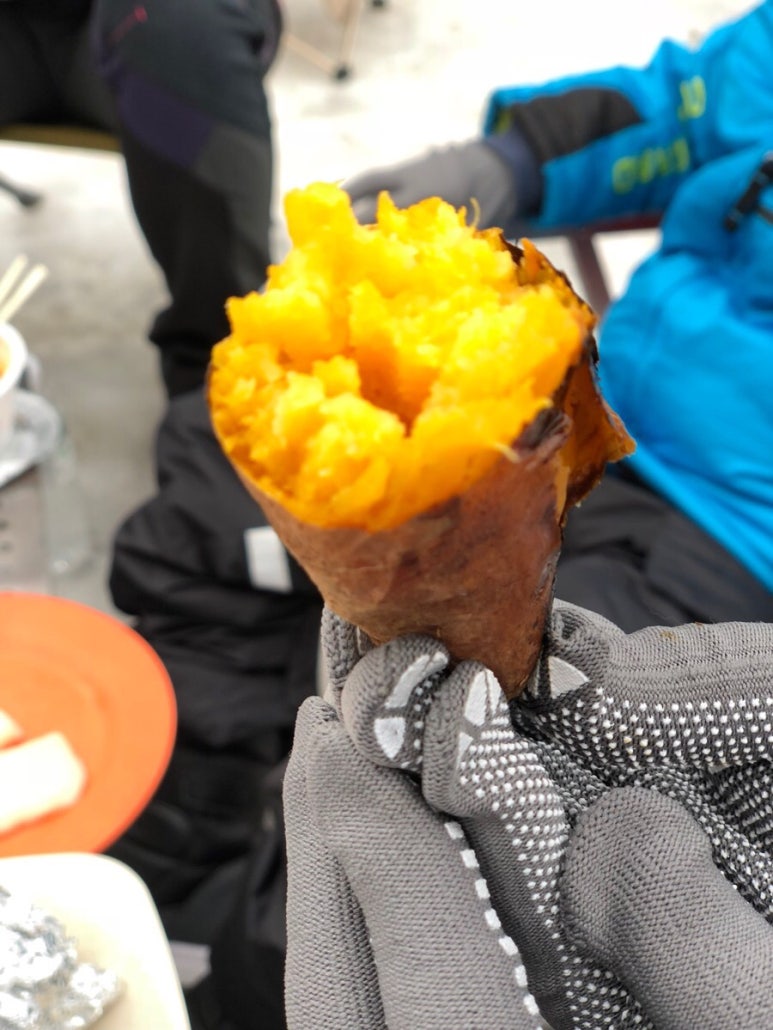 산으로간니모 이미지