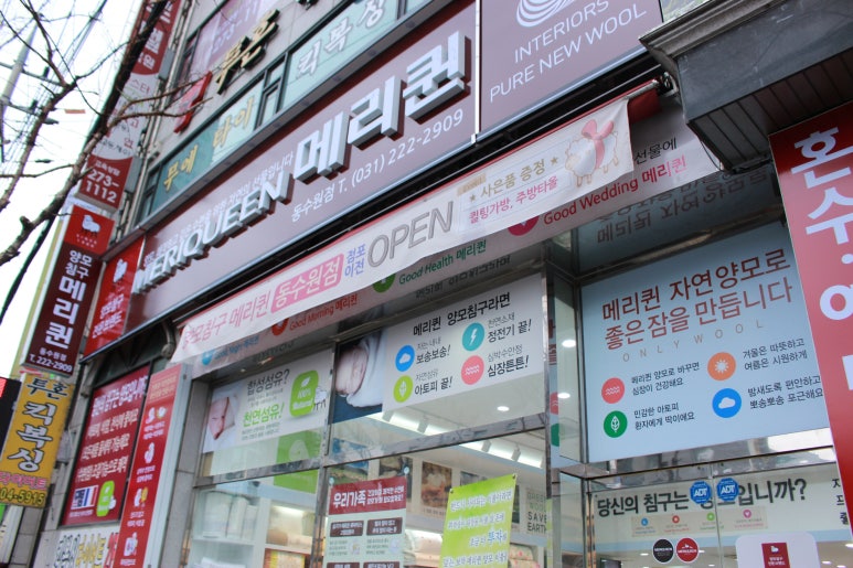 메리퀸동 이미지