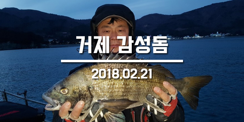 거제진선장 이미지
