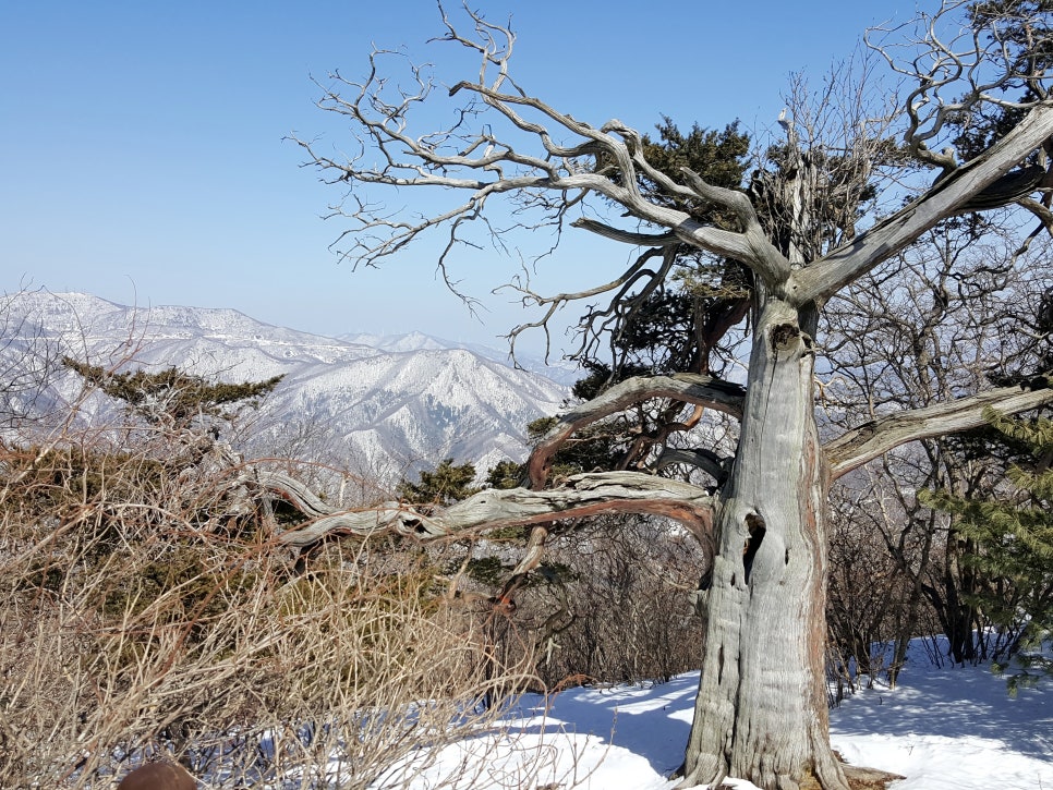 운포분식 이미지
