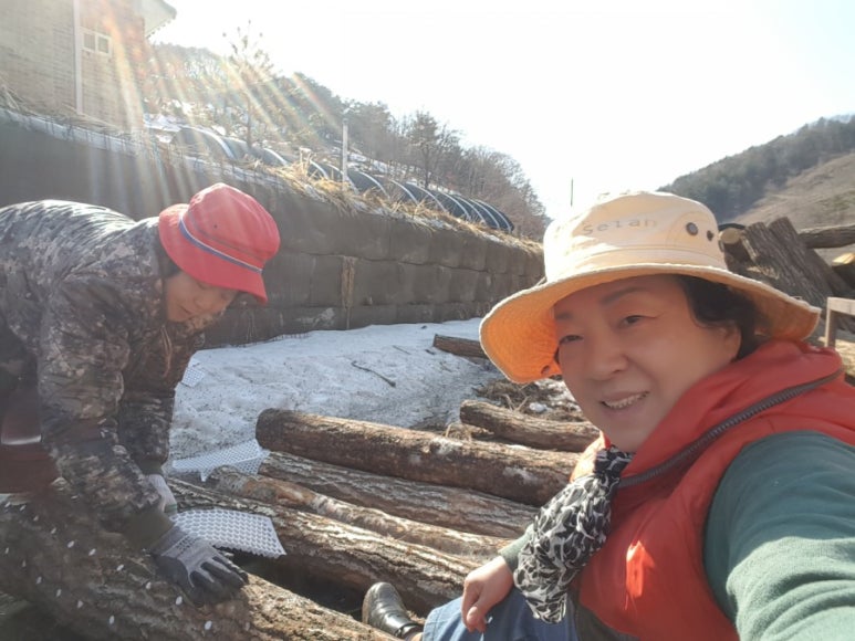 흥부신발 이미지