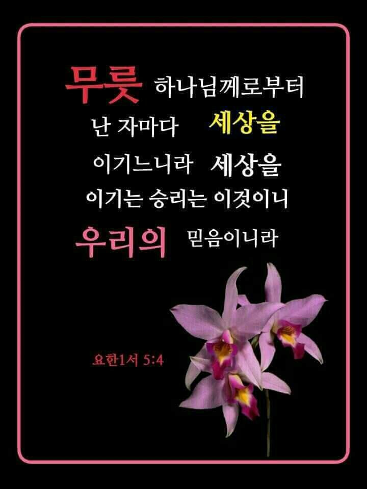 주식회사 비유 이미지