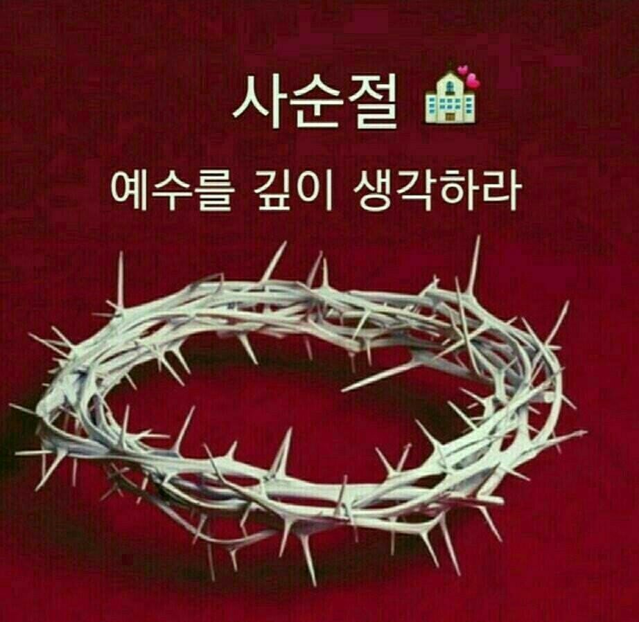 주식회사 비유 이미지