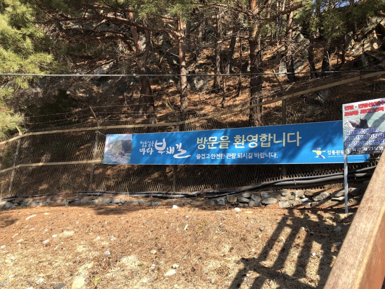 강릉솔향도시락 이미지