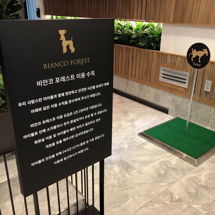 비안코 포레스트 이미지