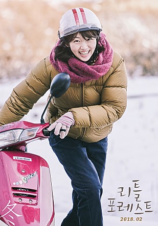쿠키포레스트 이미지