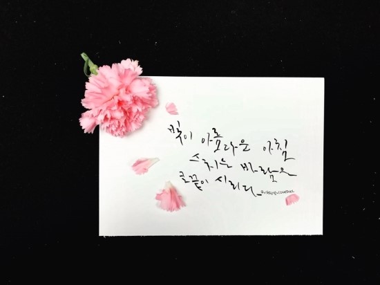 이현정캘리그래FeeL 이미지