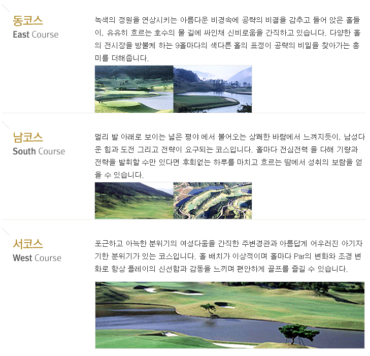 나무회원권거래소 이미지