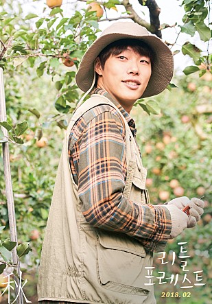 쿠키포레스트 이미지