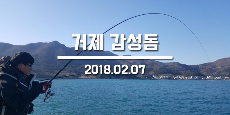 거제진선장 이미지