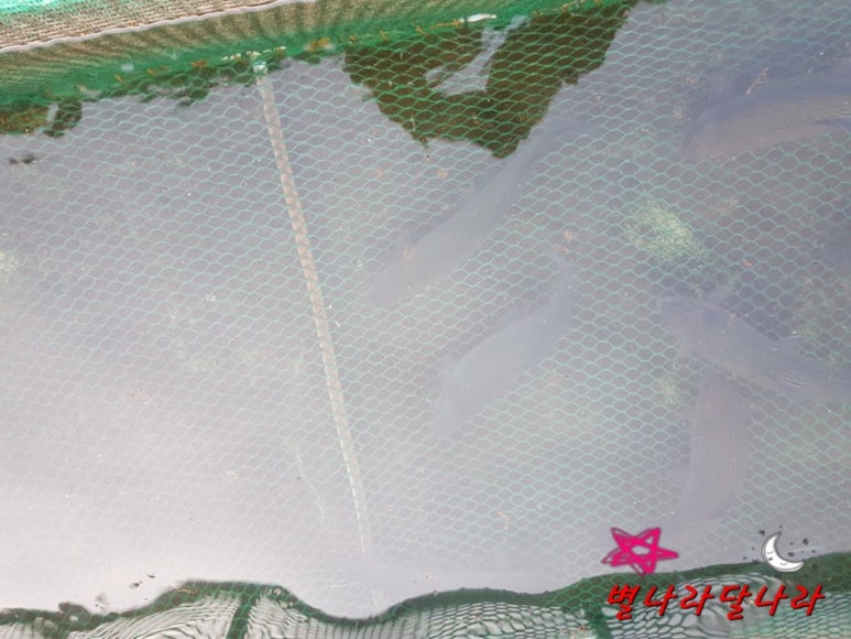 군언횟집 이미지