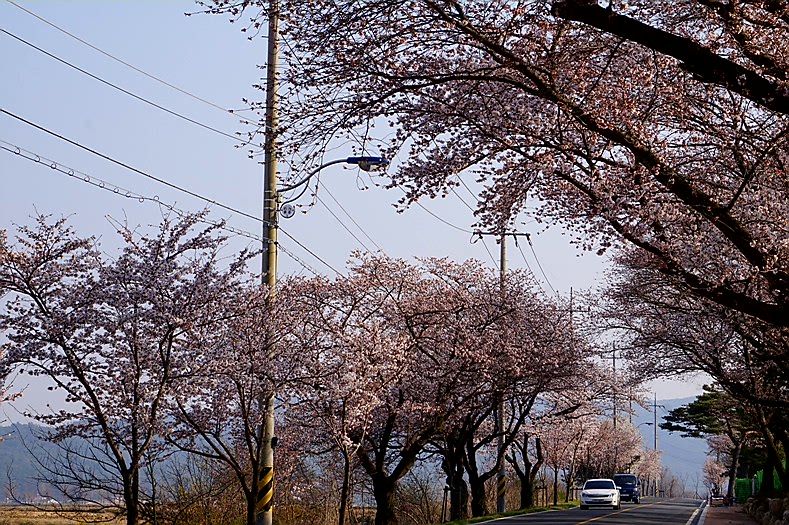 아띠펜션 이미지
