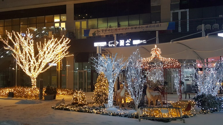 눈꽃소 이미지