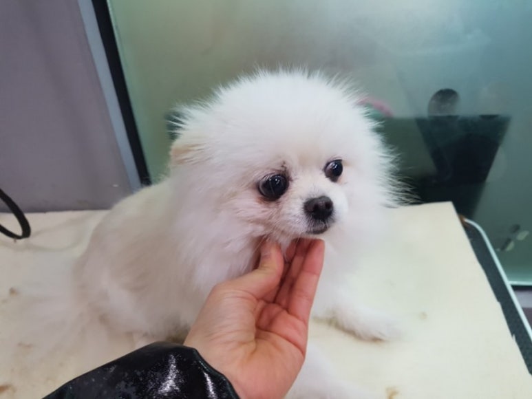 비쥬미용실 이미지