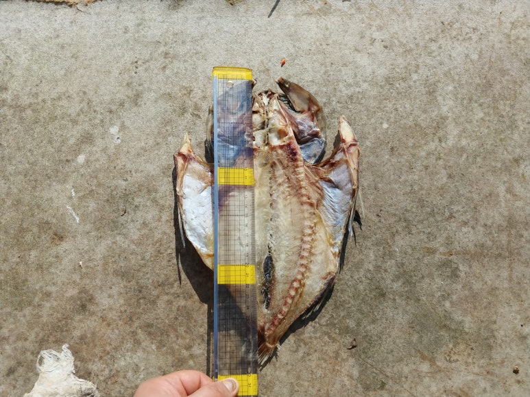 복성수산 이미지