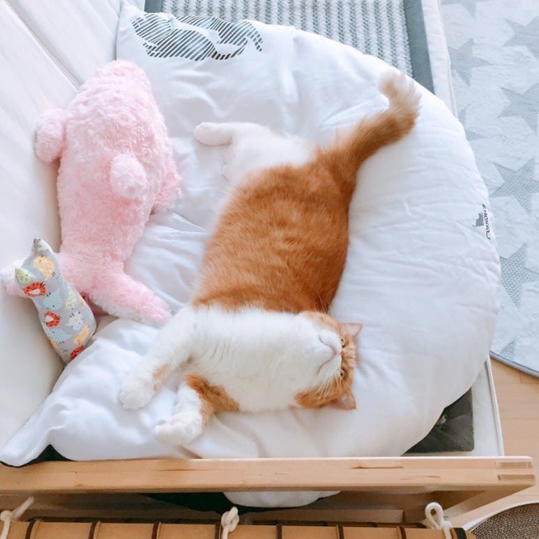 미유컴퍼니 이미지