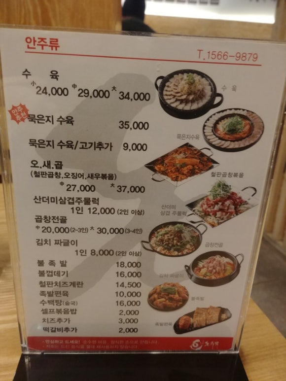 돈수백 이미지