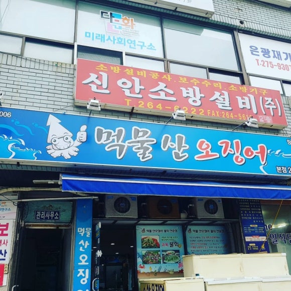 먹물산오징어 이미지