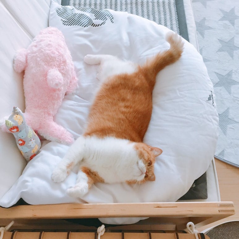 미유컴퍼니 이미지