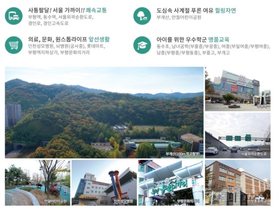 부일파크 이미지