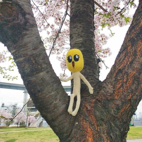 해피요거트 이미지