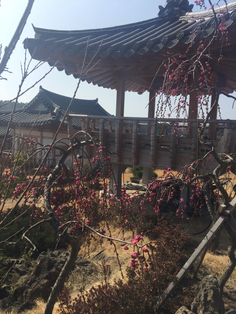 남극노인성휴양펜션 이미지