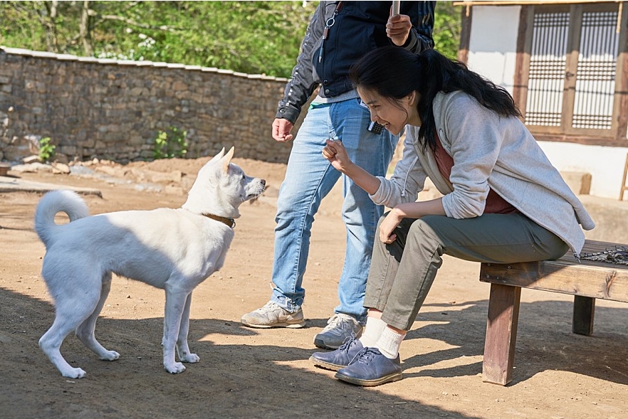 포레스트쉼 이미지