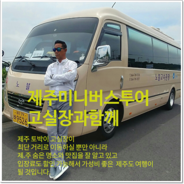 고투어 이미지