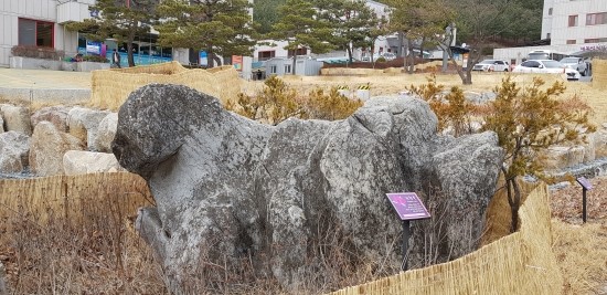 제천시청 어린이집 이미지