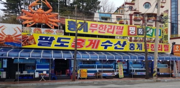 동백관광여행사 이미지