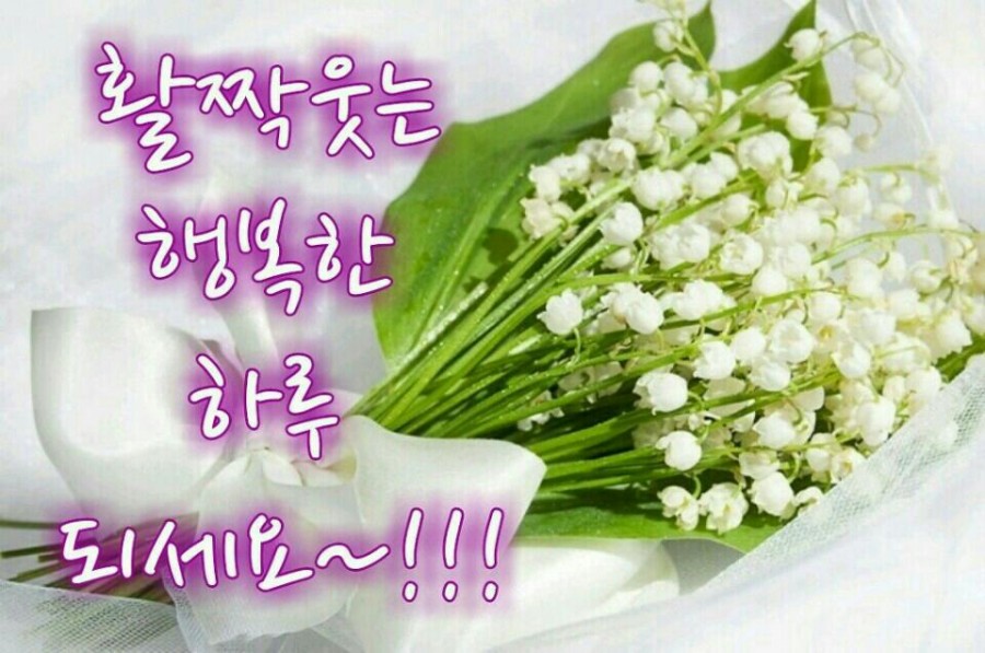 자꾸 이미지