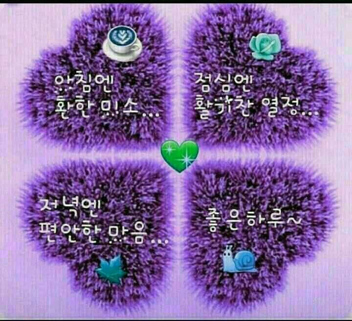 청양친환경블루베리농장 이미지