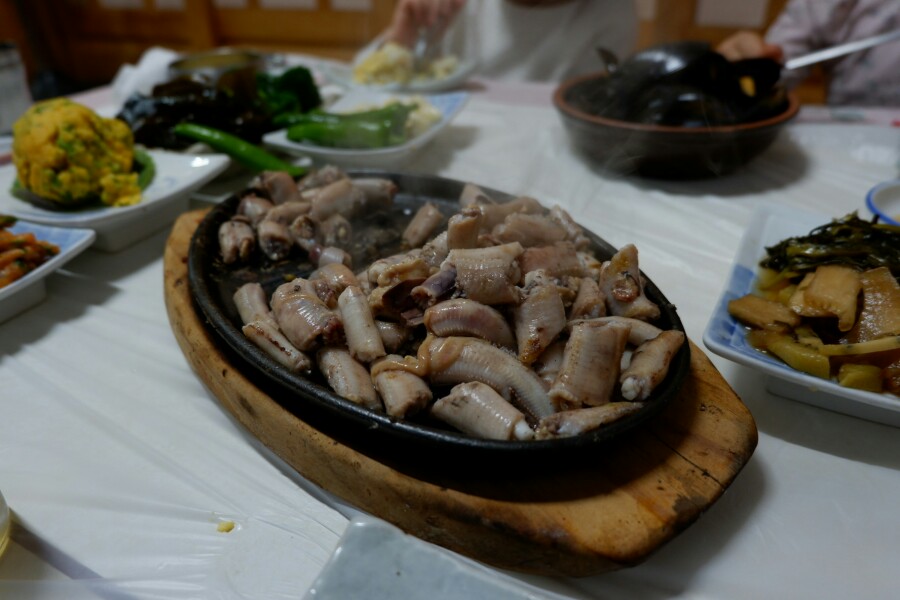 기장꼼장어 이미지