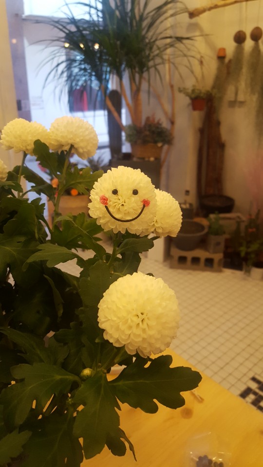 어쩌다꽃 이미지
