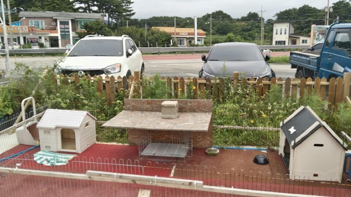 일출민박 이미지