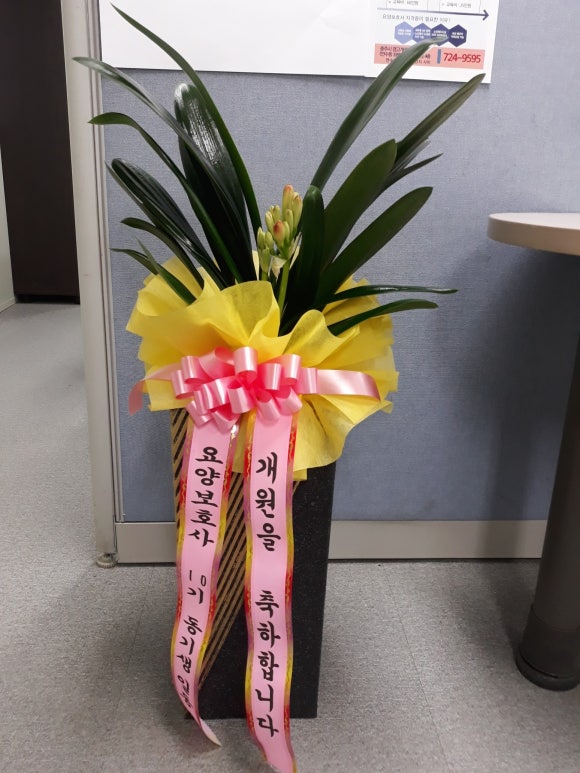 마음모아요양보호사교육원 이미지
