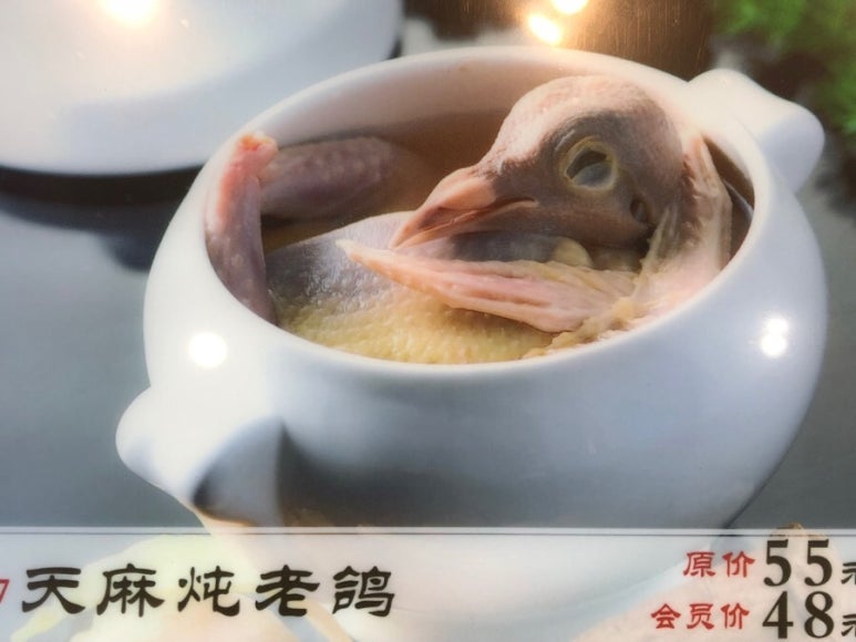 해선 이미지