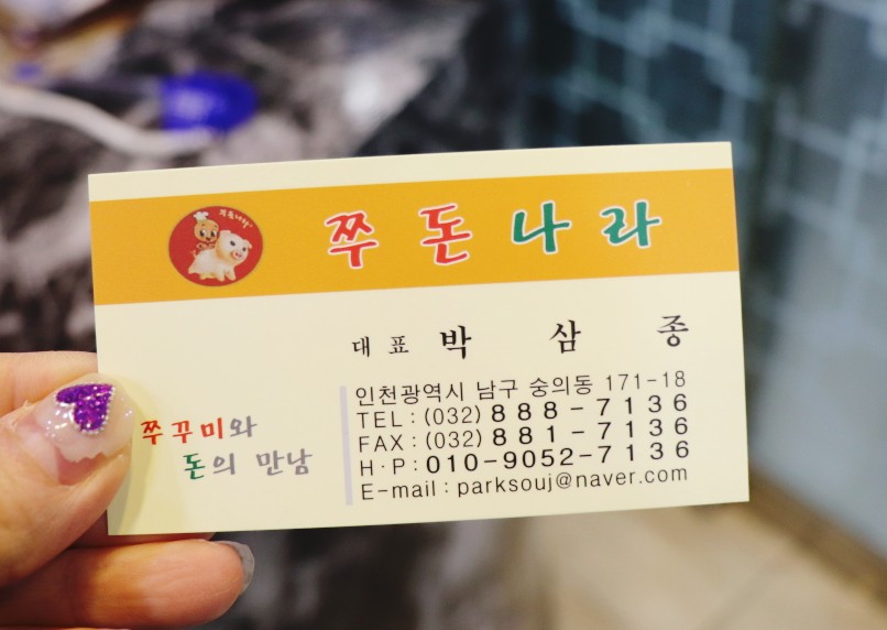 쭈돈나라 이미지