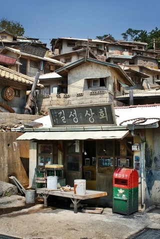 내 손끝 꽃잎 이미지