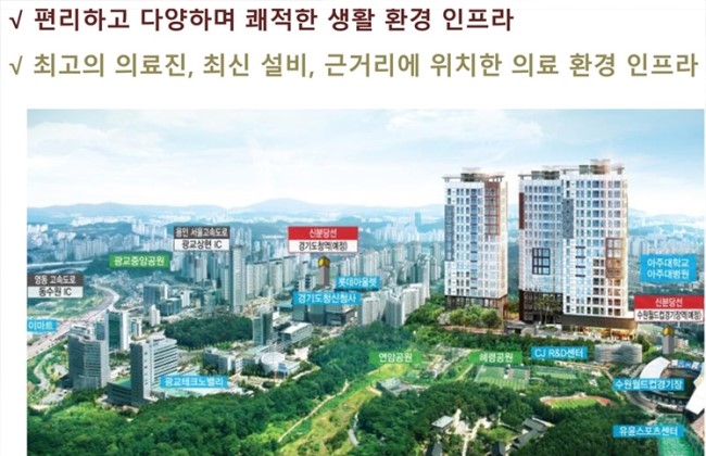 양데코 이미지