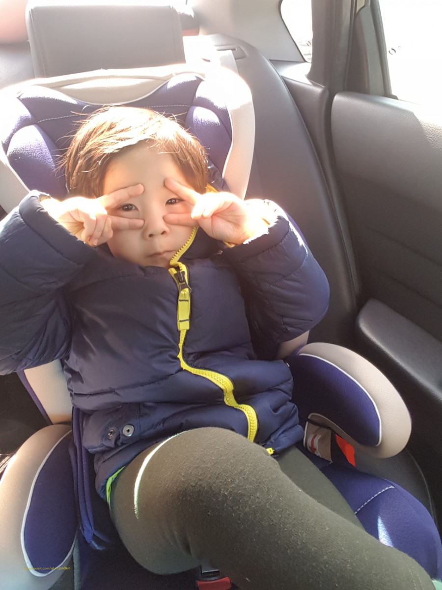 정글노래방 이미지