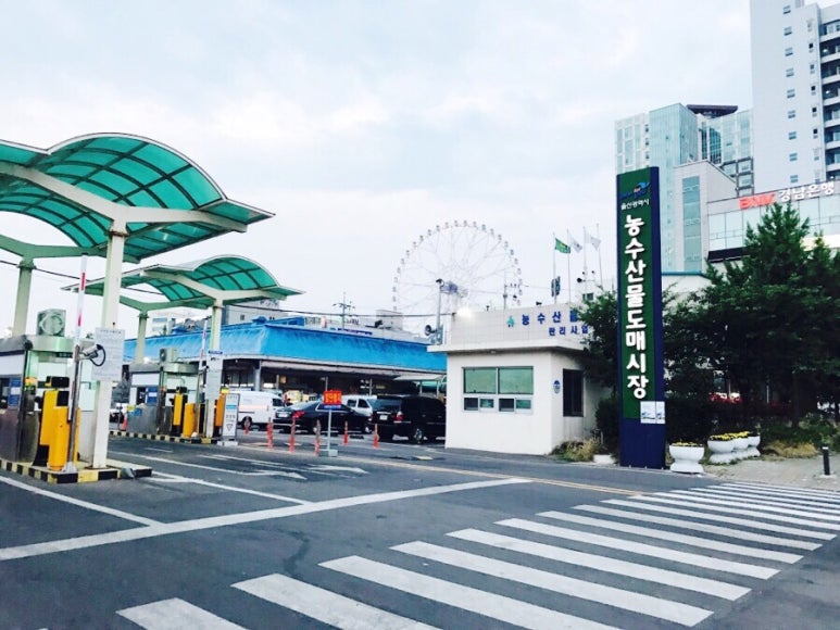 이모네농수산물 이미지