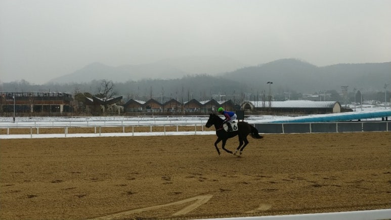 24시셀프세차 이미지