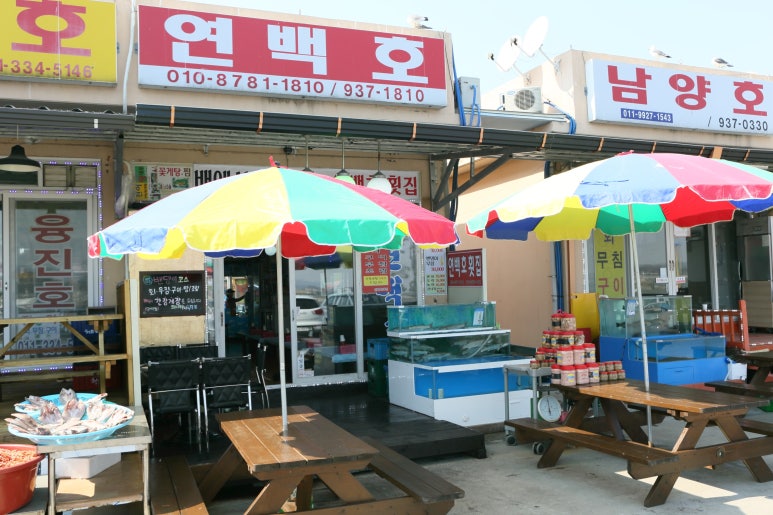 연백호 이미지