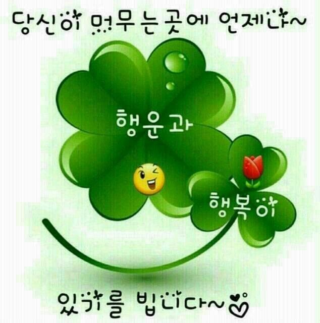 네일하는이유 이미지