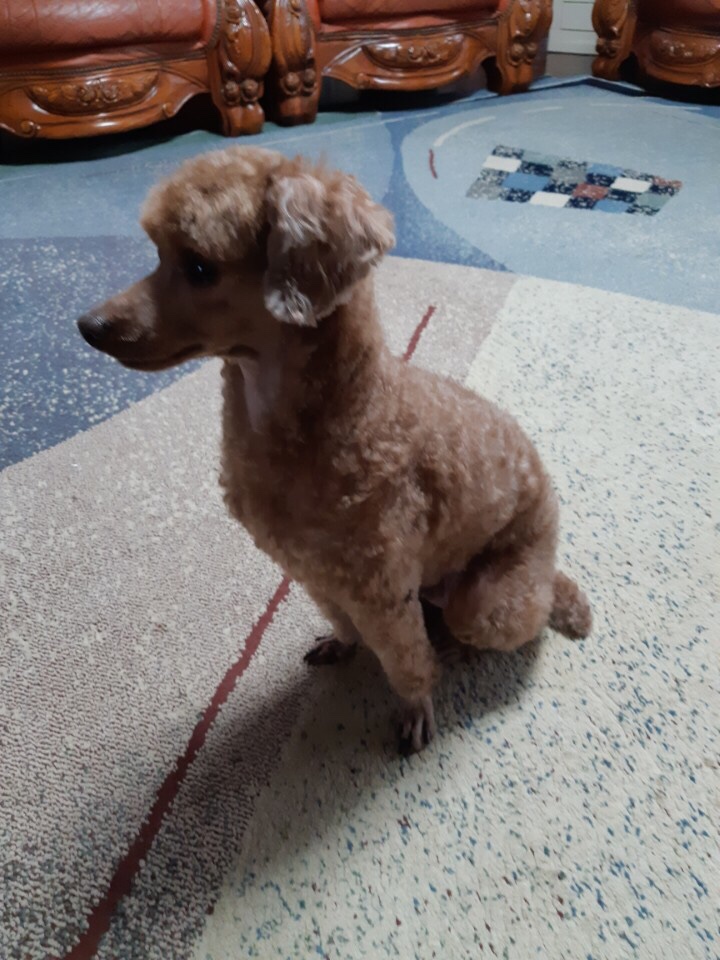 얌얌스낵 이미지