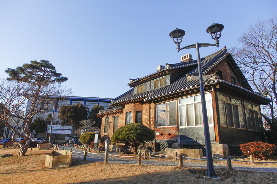 청라푸른담쟁이 이미지