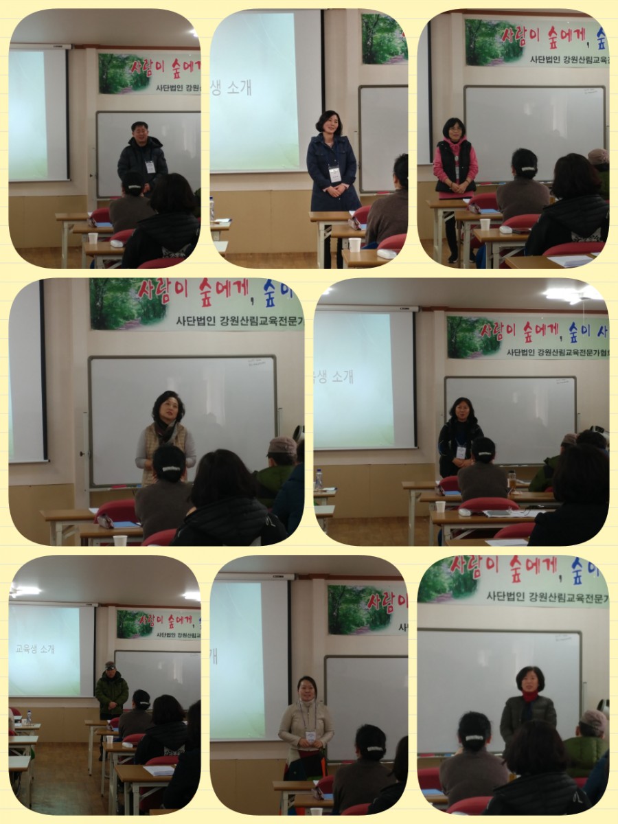 강원산림교육전문가협회 이미지